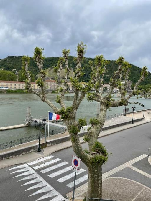 La Batellerie, Vue Sur Rhone Villa ทาอิน-เลมิทาจ ภายนอก รูปภาพ