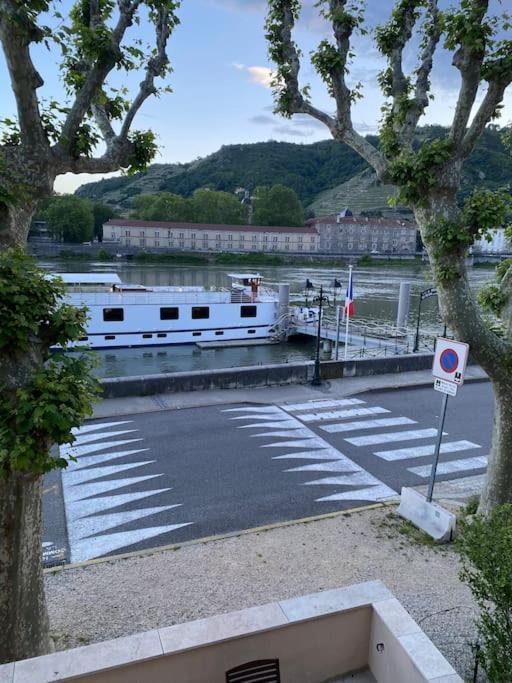 La Batellerie, Vue Sur Rhone Villa ทาอิน-เลมิทาจ ภายนอก รูปภาพ