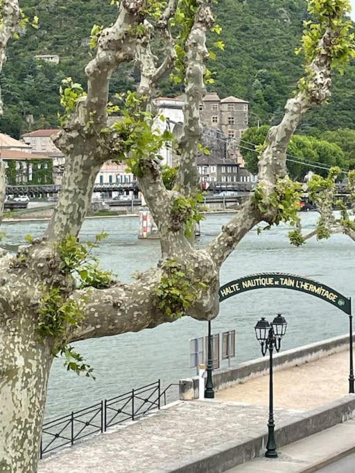 La Batellerie, Vue Sur Rhone Villa ทาอิน-เลมิทาจ ภายนอก รูปภาพ